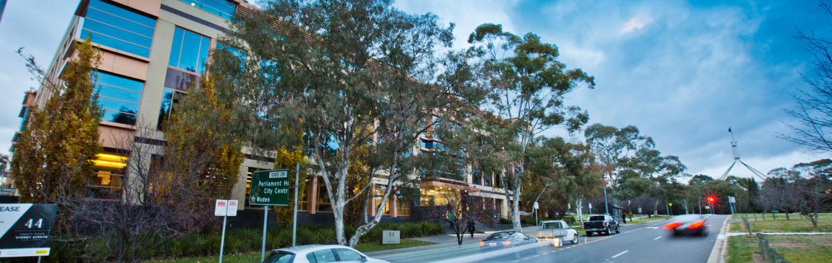 Image of the front of 44 Sydney Avenue, blocked by trees with cars driving past