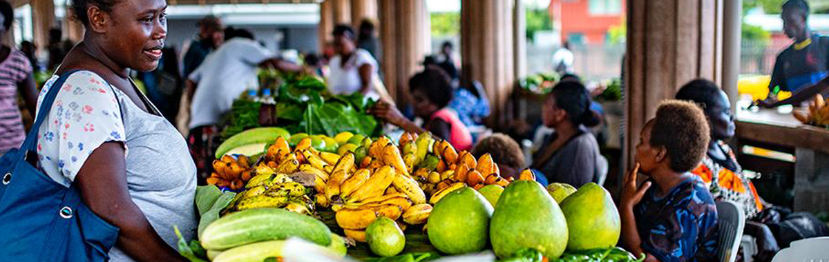Adaptation and Resilience Internet Page Header