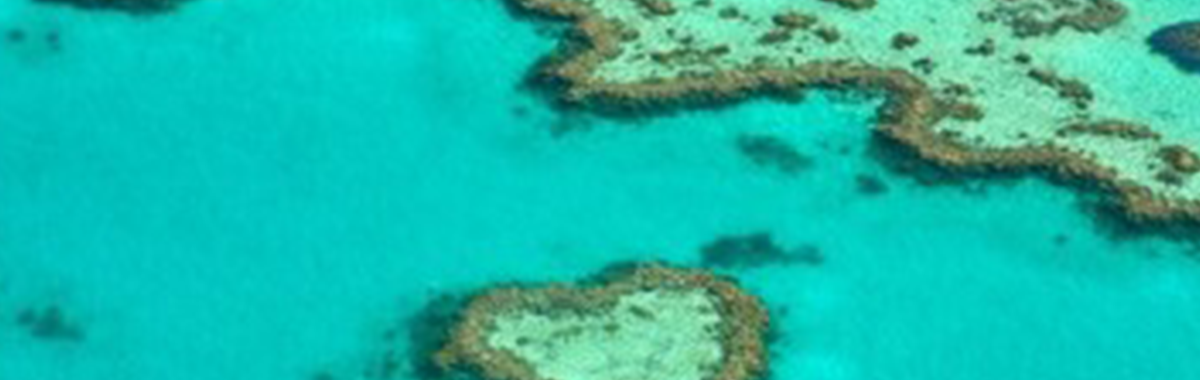 Small island in bright green ocean